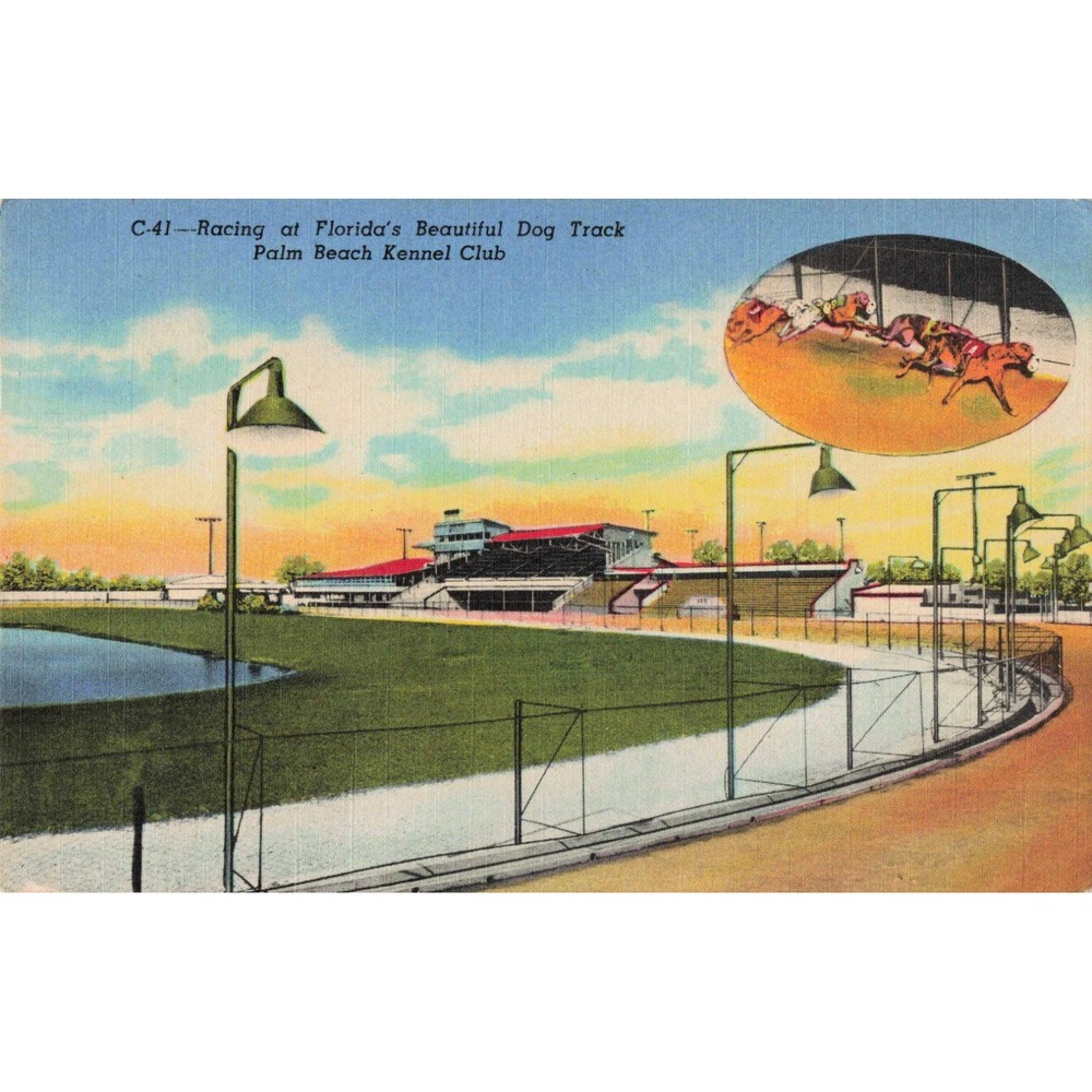 Palm Beach Kennel Club Florida FL Greyhound Dog Racing Linen Postcard 1954 C-41 - Picture 1 of 2